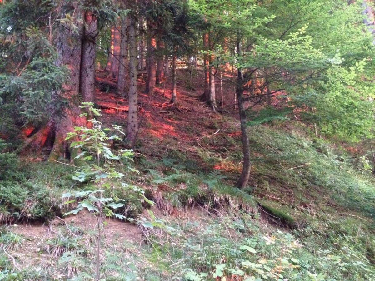 Ferienwohnung Ausblick Missen-Wilhams Eksteriør billede